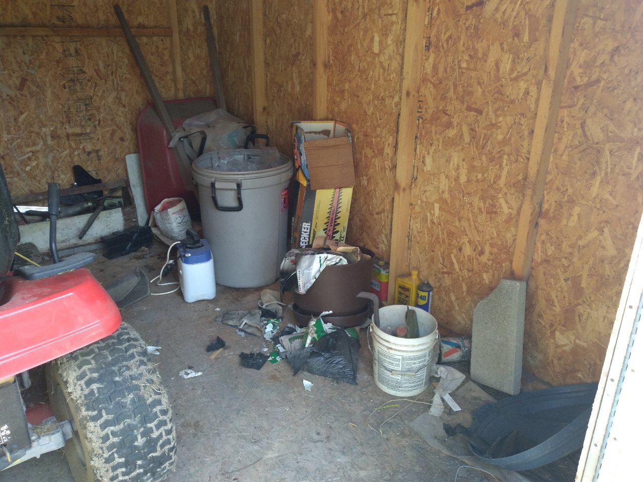 Shed before cleanout